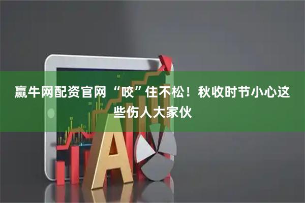 赢牛网配资官网 “咬”住不松！秋收时节小心这些伤人大家伙