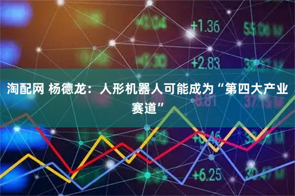 淘配网 杨德龙：人形机器人可能成为“第四大产业赛道”